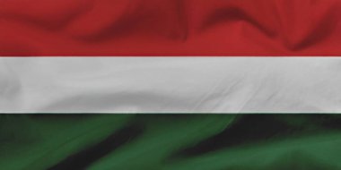 Macaristan Ulusal Bayrağı