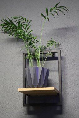 Gri arkaplanda yeşil bir saksı