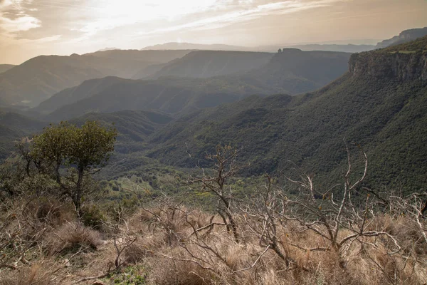 stock image scenic landscape showing mountains and forest