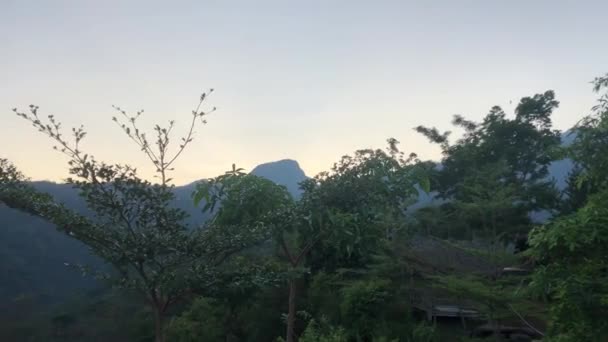 Гарний Гірський Хребет Вранці Хмари Лісі Лісовий Кущ Вид Дерева — стокове відео