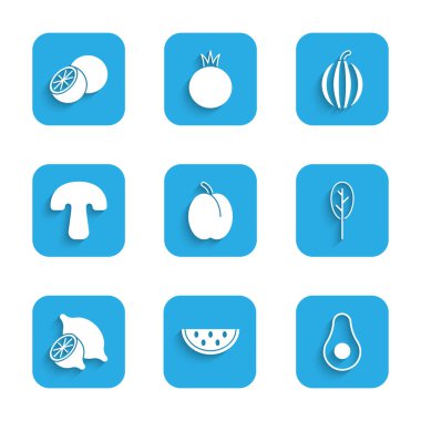 Erik meyveli karpuz avokado ıspanaklı limon mantarı ve portakal ikonu koy. Vektör.