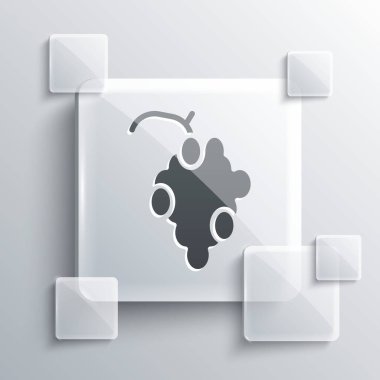 Gri arkaplanda gri üzüm ikonu izole edilmiş. Kare cam paneller. Vektör.