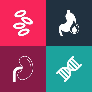 Popüler sanat sembolü, insan böbreği, mide ekşimesi ve hemoglobin ikonunu ayarla. Vektör.