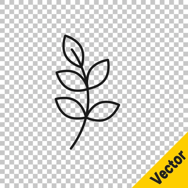 Black Line Willow Leaf Icon Isolated Transparent Background Vector — Stock Vector