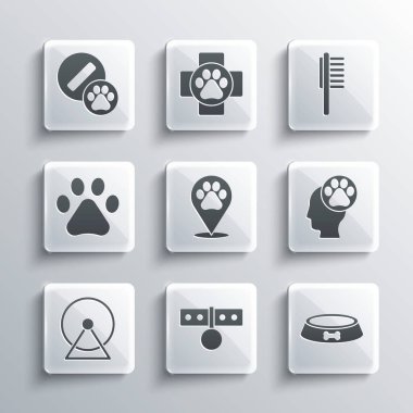 Yaka etiketini, hayvan yemek kasesi insan ayak izi veteriner Hamster tekerleği Paw Dog hapı ve evcil hayvan ikonu ile ayarla. Vektör.