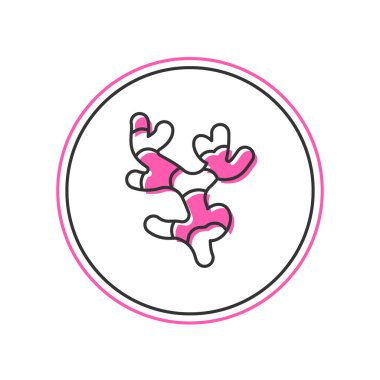 Doldurulmuş Ginger kök simgesi beyaz arkaplanda izole edildi. Vektör.