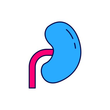 Beyaz arka planda izole edilmiş ana hatlı insan böbreği ikonu. Vektör