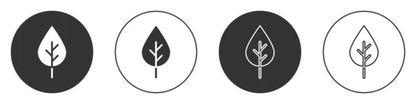 Black Leaf Eco 아이콘은 배경에서 분리되었다 친환경 스티커 Vector — 스톡 벡터