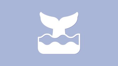 Okyanus dalgası ikonunda beyaz balina kuyruğu mor arka planda izole edildi. 4K Video hareketli grafik canlandırması.