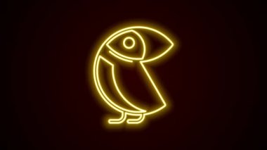 Parlayan neon çizgisi Albatros simgesi siyah arkaplanda izole edildi. 4K Video hareketli grafik canlandırması.