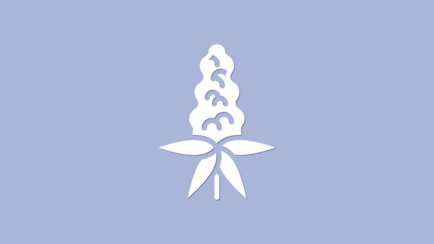 Biała Ikona Kwiatu Łubinu Odizolowana Fioletowym Tle Animacja Graficzna Ruchu — Wideo stockowe