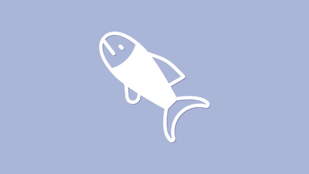 White Fish Icon Isolated Purple Background Video Motion Graphic Animation — Stock Video