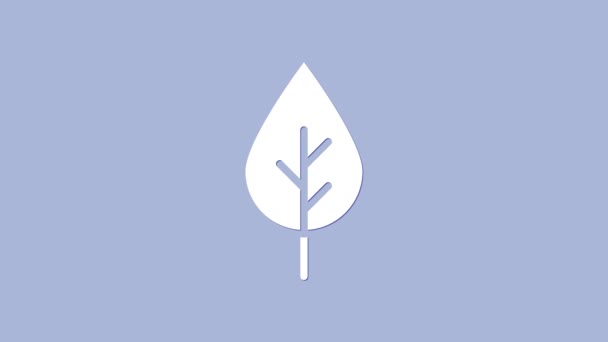 Vit Leaf Eco Symbol Ikon Isolerad Lila Bakgrund Banner Etikett — Stockvideo