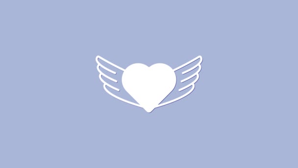 Corazón Blanco Con Alas Icono Aislado Sobre Fondo Púrpura Símbolo — Vídeos de Stock