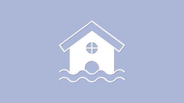 White House Flood Icon Isolated Purple Background Home Flooding Water — Stock Video