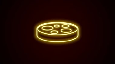 Siyah zemin üzerinde izole edilmiş bakteri simgesi olan parlak neon hattı Petri kabı. 4K Video hareketli grafik canlandırması.