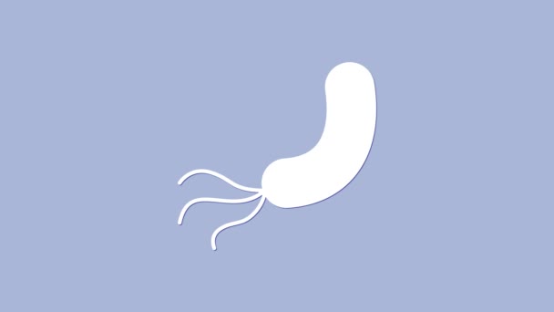White Bacteria Icon Isolated Purple Background Bacteria Germs Microorganism Disease — Stock Video