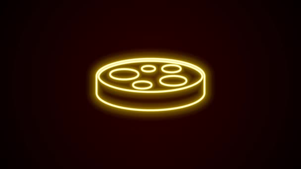 Glowing Neon Line Petri Dish Bacteria Icon Isolated Black Background — Stock Video