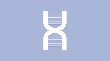 Mor arkaplanda izole edilmiş beyaz DNA sembolü. 4K Video hareketli grafik canlandırması.
