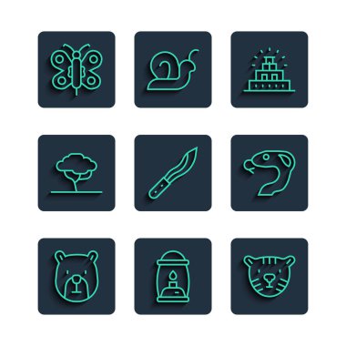 Ayı başlı Ayı Kamp feneri Tiger Chichen Itza Maya Pala Afrika Ağacı Kelebeği ve Yılan ikonu. Vektör.