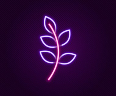 Parlayan neon çizgisi Willow yaprağı simgesi siyah arkaplanda izole edildi. Renkli taslak konsepti. Vektör.