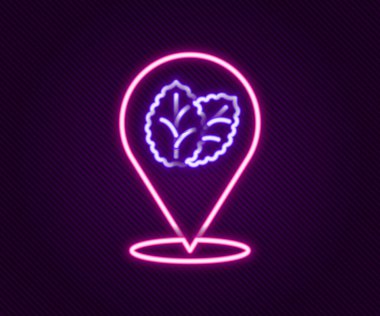 Parlayan neon çizgisi tütün yaprağı simgesi siyah arkaplanda izole edildi. Tütün yaprakları. Renkli taslak konsepti. Vektör.