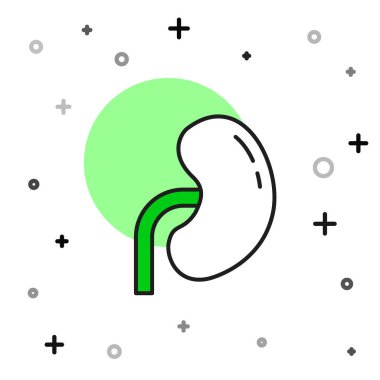 Beyaz arka planda izole edilmiş ana hatlı insan böbreği ikonu. Vektör.