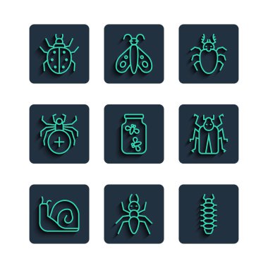 Set line Snail Ant Centipede Beetle deer Fireflies bugs in jar Spider Mite and icon. Vector.
