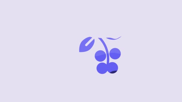 Blaue Kaffeebohne Zweig Mit Blatt Und Beerensymbol Auf Violettem Hintergrund — Stockvideo