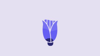 Blue Corn icon isolated on purple background. 4K Video motion graphic animation.