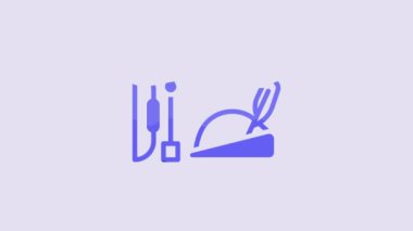 Blue Robin hood hat with feather, bow and arrow icon isolated on purple background. 4K Video motion graphic animation.