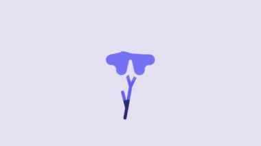 Blue Four leaf clover icon isolated on purple background. Happy Saint Patrick day. 4K Video motion graphic animation.