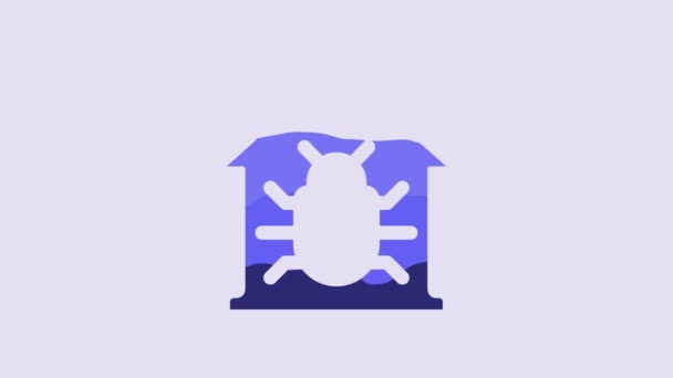 蓝屋系统缺陷的概念图标孤立在紫色背景 代码错误概念 系统中的漏洞 虫子搜索 4K视频运动图形动画 — 图库视频影像