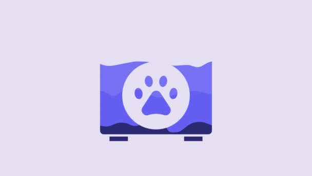 Blue Pet First Aid Kit Icon Isolated Purple Background Dog — Vídeo de Stock
