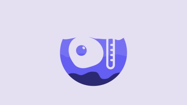 Blue Traditional British Breakfast Fried Eggs Sausage Icon Isolated Purple — 비디오
