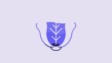 Blue Fresh cabbage vegetable icon isolated on purple background. 4K Video motion graphic animation.