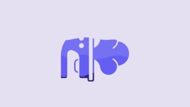Blue Electric iron icon isolated on purple background. Steam iron. 4K Video motion graphic animation.