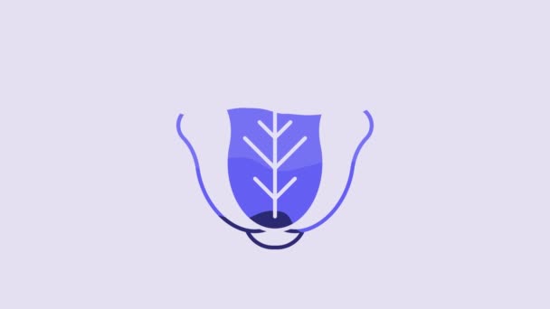 Blue Fresh Cabbage Vegetable Icon Isolated Purple Background Video Motion — Vídeos de Stock