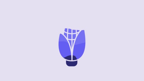 Blue Corn Icon Isolated Purple Background Video Motion Graphic Animation — Vídeos de Stock
