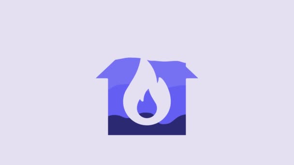 Blue Fire Burning House Icon Isolated Purple Background Video Motion — ストック動画