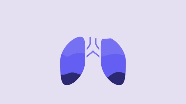 Blue Lungs Icon Isolated Purple Background Video Motion Graphic Animation — Vídeos de Stock