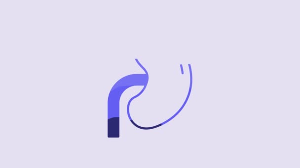 Blue Human Kidney Icon Isolated Purple Background Video Motion Graphic — Wideo stockowe