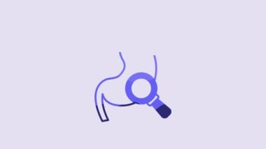 Blue Human stomach with magnifying glass icon isolated on purple background. 4K Video motion graphic animation.