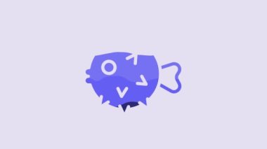 Blue Fish hedgehog icon isolated on purple background. 4K Video motion graphic animation.