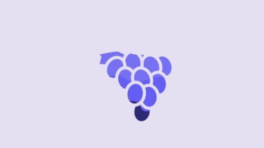 Blue Grape fruit icon isolated on purple background. 4K Video motion graphic animation.