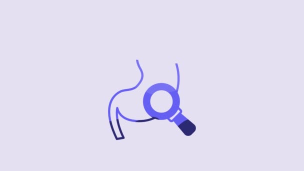 Blue Human Stomach Magnifying Glass Icon Isolated Purple Background Video — Stock Video