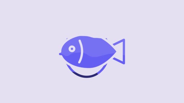 Blue Fish Icon Isolated Purple Background Video Motion Graphic Animation — Video
