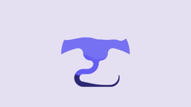 Sininen Stingray Kuvake Eristetty Violetti Tausta Video Motion Graafinen Animaatio — kuvapankkivideo
