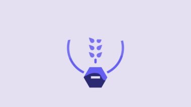 Blue Gluten free grain icon isolated on purple background. No wheat sign. Food intolerance symbols. 4K Video motion graphic animation.