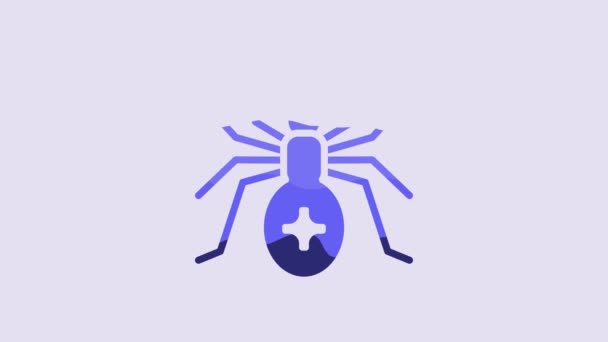 Icono Araña Azul Aislado Sobre Fondo Púrpura Feliz Fiesta Halloween — Vídeos de Stock